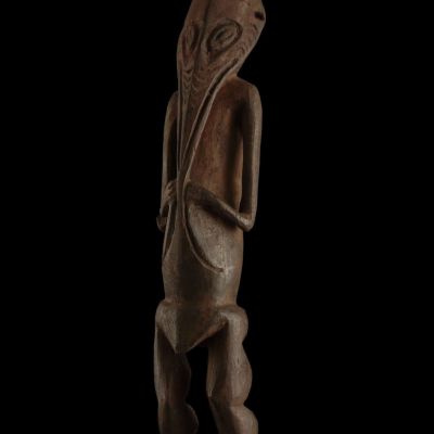 musec-expo-ibridi-03