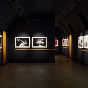 musec-expo-UP-01