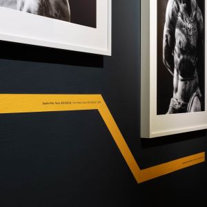 musec-expo-UP-05