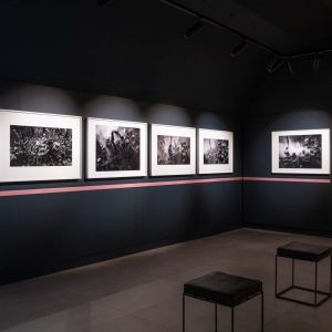 musec-expo-UP21-05