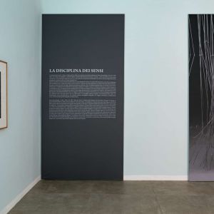 musec-expo-disciplina-sensi-01