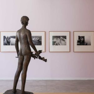 musec-expo-disciplina-sensi-03