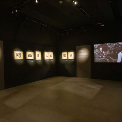 musec-expo-metamorfosi-02