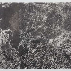 musec-expo-papier-01