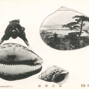 musec-expo-souvenir-japon-06