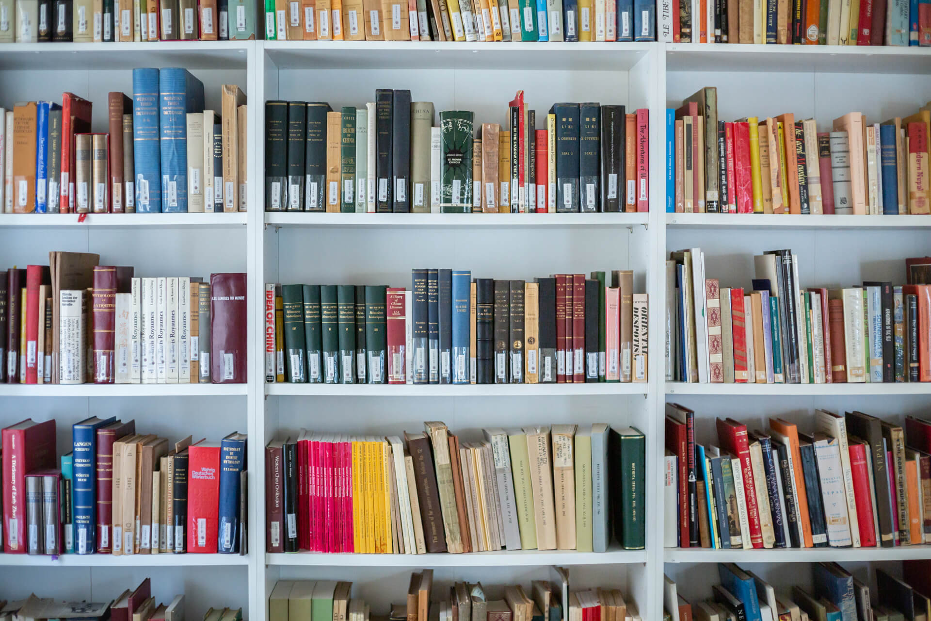 2021 VM Biblio-Rg web (7)