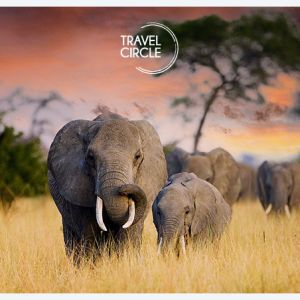 ATMOSFERE D'AFRICA con KEL12 TRAVEL CIRCLE