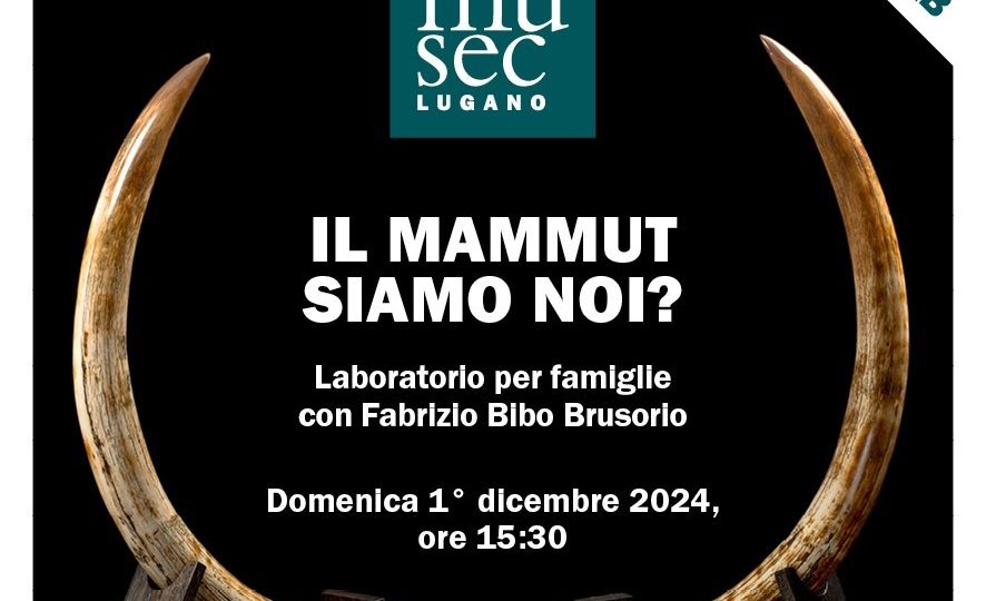 2024.12.01 Laboratorio bambini solo img