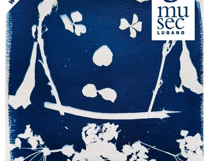 2026_02_07 CIANO BIMBI web